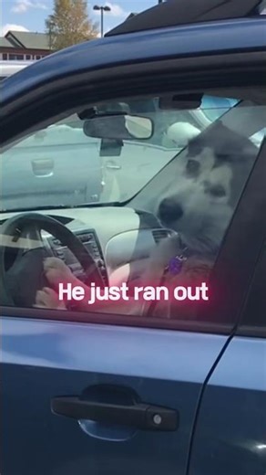 Who is Honking the Car Horn for 10 Seconds in the Parking Lot?