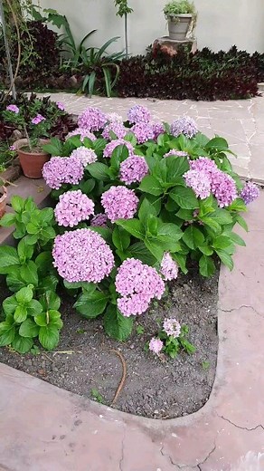 37 reactions | Nature calling.... NAANAK HOTELS BOOK YOUR COMFORT WITH US AC DELUX ROOM 7310971117 Agra, Dehradun 1500Rs Pahalgam, Srinagar 3000Rs Jaipur ,Udiapur2200Rs Amritsar , Haridwar 999Rs katra 2000Rs , Rishikesh 2500Rs Mussoorie 4000Rs Manali 2500Rs Goa 2800Rs , Zirakpur 1500Rs CharDham Hotel Available kedarnath, Badrinath, Barkot,UTTARKASHI , Guptkashi, Sonnprayag, Joshimath #naanakhotels #yogananda #yss #hotels #Hotel #india #travel | Naanak Hotels | Facebook