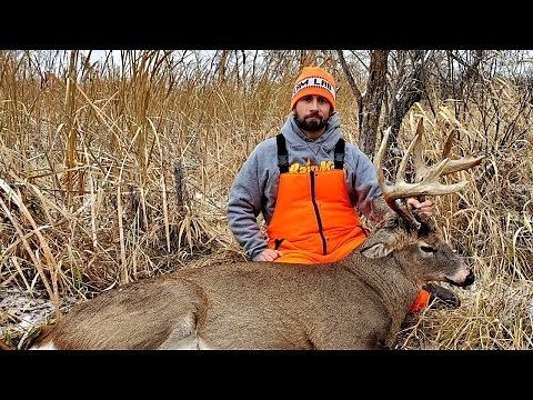Big 12 pt Swamp Buck Down!! Deer Hunting Minnesota Rifle Season
