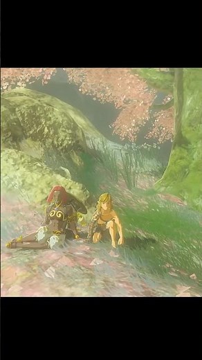 Our last line of defense will be Link… (we’re cooked)