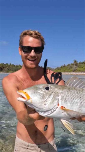 Island survival with a handline