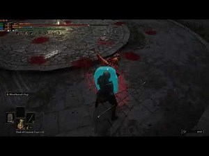 Elden Ring Fingerprint Greatshield test with Shield Grease and Greatshield Talisman