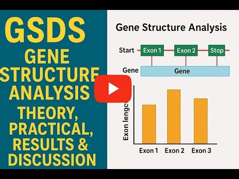 GSDS theory and practical with results and disscussion