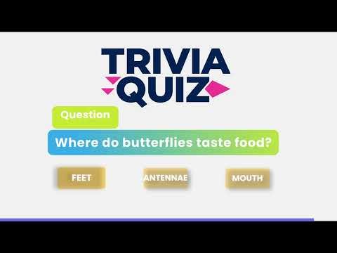 Background Music for Trivia Quizzes and Brain Games