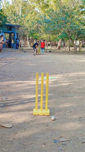 Park mein leather ball cricket match #cricketmatch #matchday #cricketlover #cricketshorts