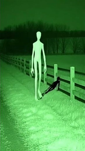 The Fence Line ALIEN 😱