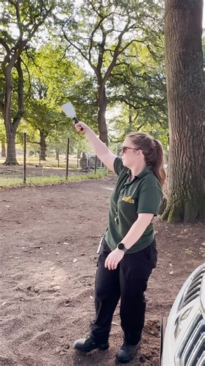 Did you know that our Bactrian camels have been trained to recall? 🐫 This clever training helps our keepers separate them from the other animals on section, ensuring each one receives the correct daily diet! 🧡 #KnowsleySafari #CamelCrew #AnimalRecall #AnimalTraining #SafariLife | Knowsley Safari