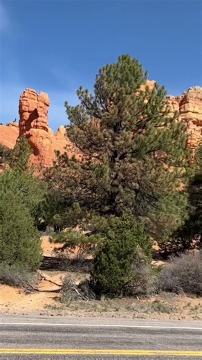 Dixie National Forest, Utah