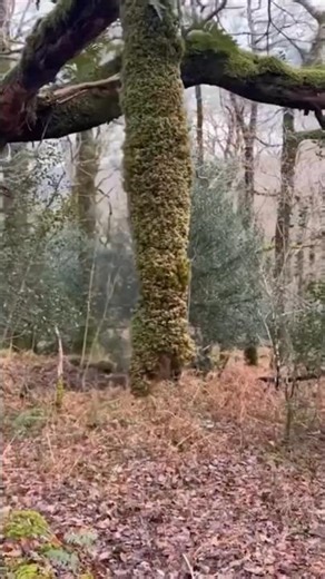 Please don't touch that one miss #shorts #funny #comedy #relatable