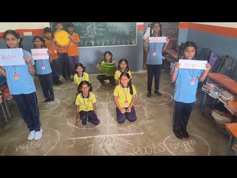 Photosynthesis Classroom Activity by Akshra Concept High School students