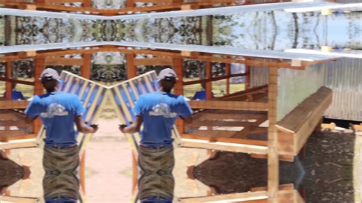 Construction of a simple 100 bird coop