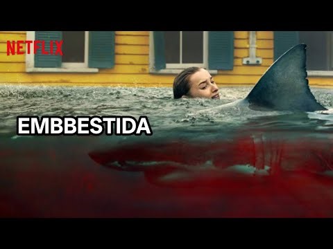 Embestida (2026) Pelicula Completa en Español Review & Facts | Phoebe Dynevor | Whitney Peak