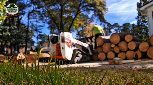 Trying to show the skid steer, but my camera said, ‘Let’s film the grass instead‘.🙂 Need expert tree services? Trust us, our focus is actually on the job — not the grass😅. Call/Text Atlanta Tree Movers LLC today at 770-896-3330. #AtlantaTreeMovers #FunnyClips #fyp | Atlanta Tree Movers