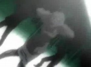 hellsing -12(Полное уничтожение)