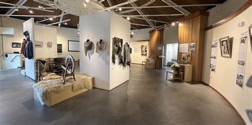 Story of Wensleydale sheep to be told at Hawes museum - Richmondshire Today