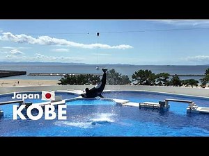 神戸観光 vlog｜シャチパフォーマンスと南京町・元町グルメを一日で巡るモデルコース 4K