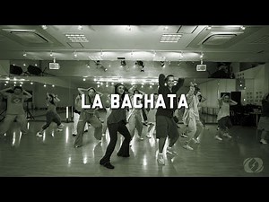 LA BACHATA / SALSATION ®︎ CHOREOGRAPHY by SMT GRACE & TAMAS