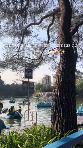 En plan romántico😍✨❤️ #chapultepec #cdmx #mexico #paratii #lanchaschapultepec