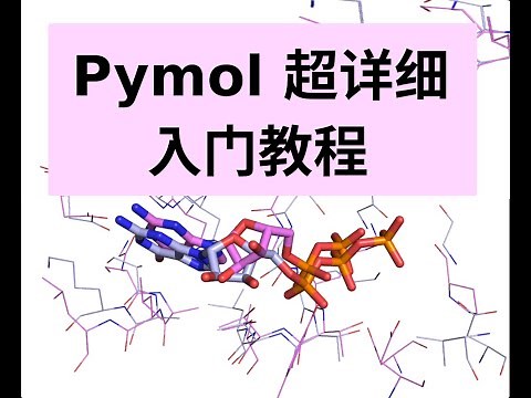 PyMOL超详细入门教程---一节课讲清楚PyMOL基本用法