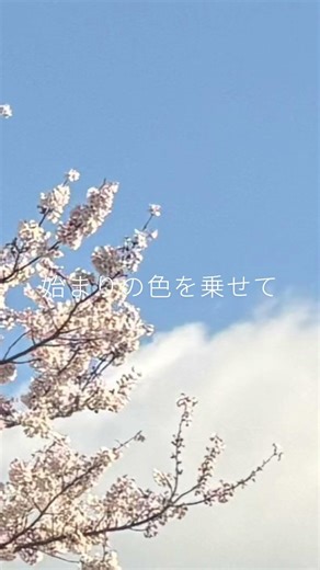 青空のキャンバス#ボカロ #初音ミク#オリジナル曲