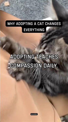 Adopting teaches compassion daily. Caring builds empathy and purpose.