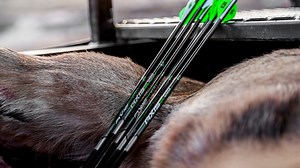 Lower Draw Weight/Shorter Draw Length Archers ... Listen Up! | Deer & Deer Hunting