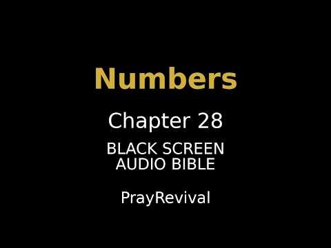 Numbers 28 | Old Testament | Audio Bible | WEB