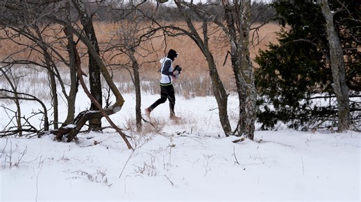 Do trees explode in cold weather? Sort of. Here's what's really happening.