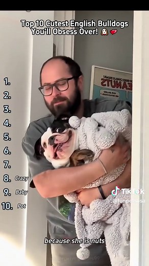 Top 10 Most Dramatic Pug Screams That Will Make You Laugh