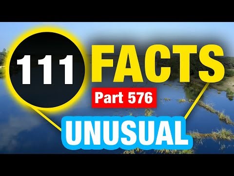 111 Amazing Mind Blowing Facts | Amazing Facts You Didn’t Know