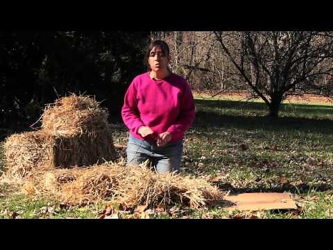 How to Make Garden Mulch : Gardening Techniques