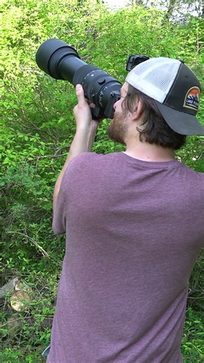 Blue-Headed Vireo Up Close | Sigma 150-600 Birding Test on Sony a7IV