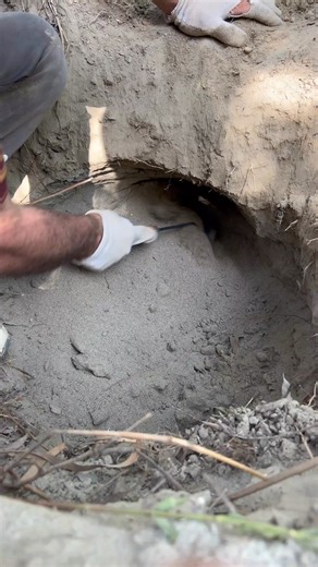 Buried treasure hunting #treasurehunting #treasurehunt #metaldetecting | Treasure Diggers