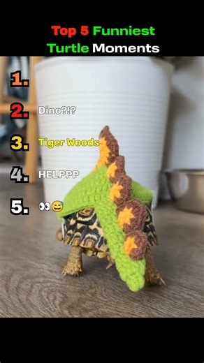 Top 5 Funniest Turtle Moments Ever Caught on Camera! 🐢😂