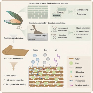 Dual bioinspired structural-interfacial engineering of brick-and-mortar biocomposites for a superior integrated water/gas/UV barrier