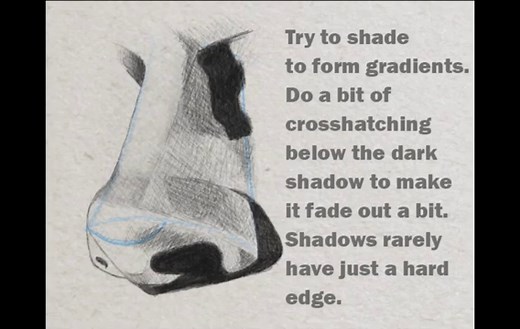Drawing and Shading a Realistic Nose in 3/4 View in Pencil or Graphite Easy Step by Step Tutorial – How to Draw Step by Step Drawing Tutorials