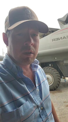 Gleaner Combine Wheat Harvest Prep: Cage, Helices & Corn Ring