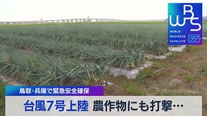 ＷＢＳ（ワールドビジネスサテライト） : 企業の対策に効果は?経済に打撃は?台風7号縦断…鳥取で大雨特別警報