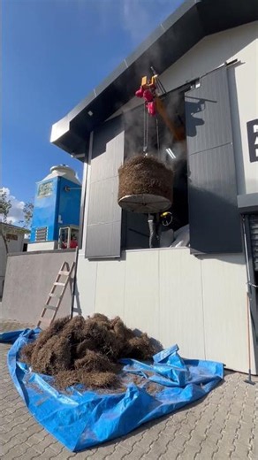 Removing Spent Plant Material After Distillation #Shorts