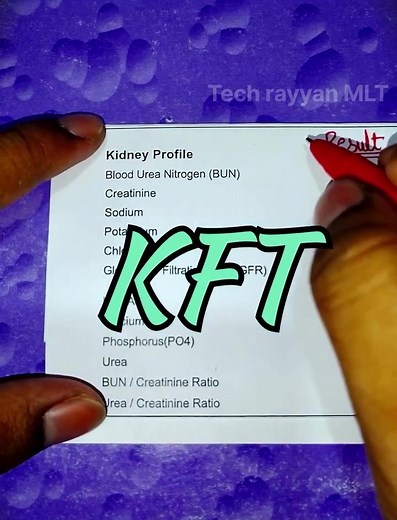 Understanding Kidney Function Tests: A Comprehensive Guide