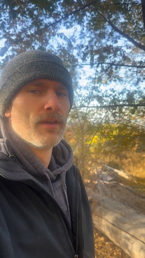 14 reactions | Finding peace for the first time can feel very uncomfortable because you are so used to chaos. Affirm you are safe while at peace.  . Follow @colehearted_wellness for more. . #coleheartedwellness #nervoussystemhealing #wellnessjourney #spiritualjourney #nervoussystemregulation | Coleman Odle | Facebook