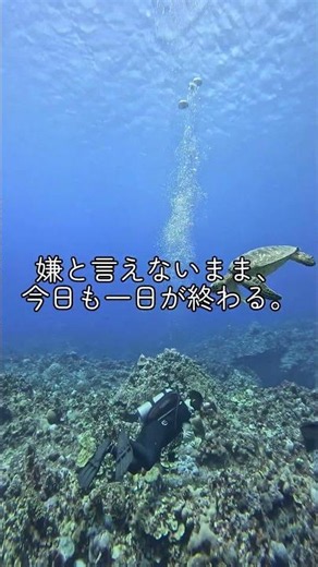 流されないだけで、十分頑張ってる。 #俳句 #名言 #いい言葉