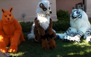 【quadsuit/纯兽装】动物在漫展 - 九尾狐、风速狗、白鬣虎三兽行