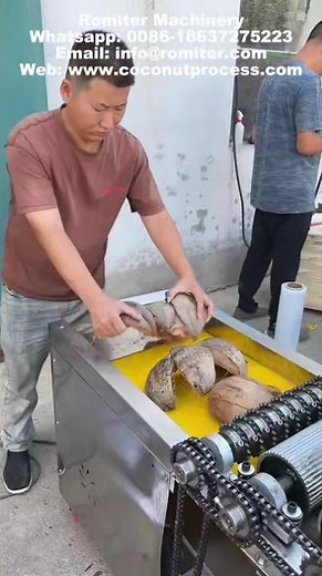 Automatic Coconut Husk Cube Dicing Cutting Machine