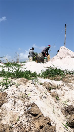 Tryon (@tryon193)’s videos with original sound - Undercover._.Editzzz🇹🇹🇬🇾