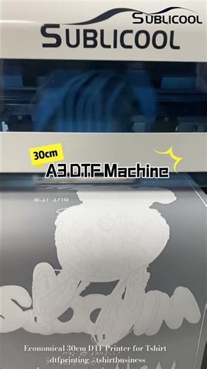 Economical 30cm DTF printer - Best for you to starting your T-shirt printing business