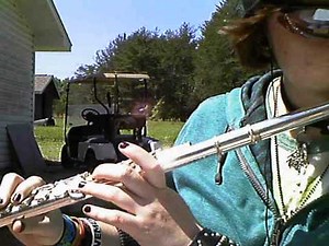 Colour my World By Chicago - Flute Solo