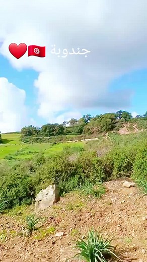 #باجة #عمدون❤️🌿🌿 #نفزة🌿🇹🇳 #وشتاتة❤🔥 #الفرش #جندوبة #طبرقه🔱✌🏻🔥🔥🔥 #مشاهير_تيك_توك_مشاهير_العرب #تونس_المغرب_الجزائر #حركة_الاكسبلور