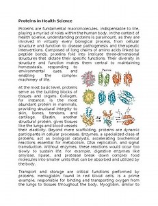 Proteins Worksheet for Sub-Plan or Classwork & Homework
