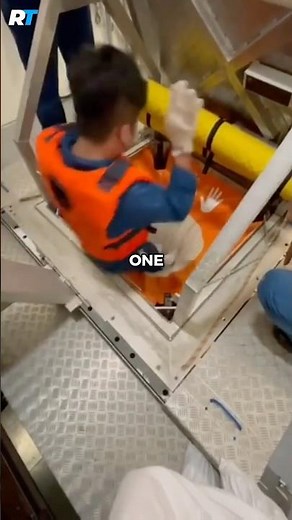 This is How Marine Evacuation System Works